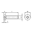 Laagbolkop bout ISO 7380-1 RVS A2 M6x40 RAL 9005 - 100 stuks