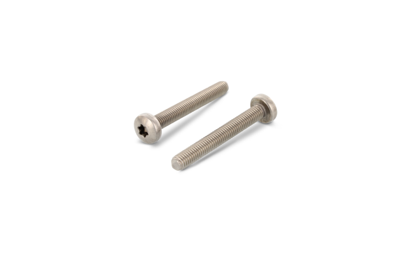 Metaalschroeven bolkop ISO 14583 RVS A2 torx M5x10 - 500 stuks